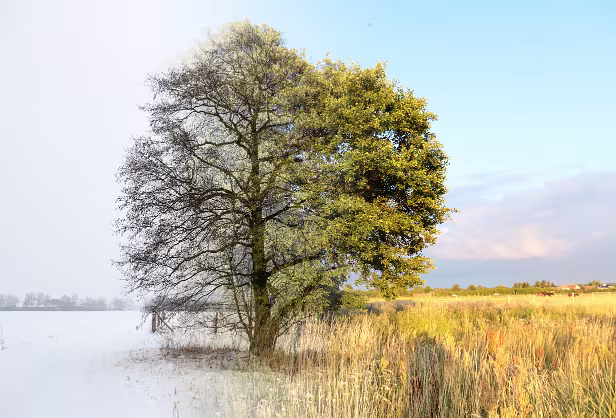 Winter-Sommer