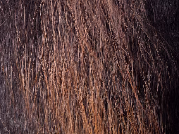 Details